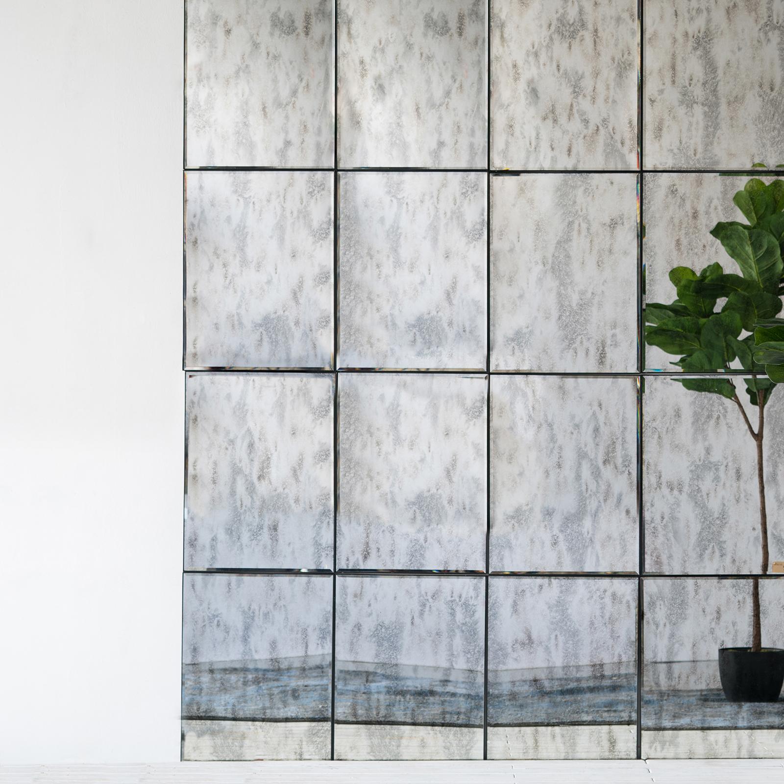 8467-fiddle-leaf-fig-tree-1.jpg