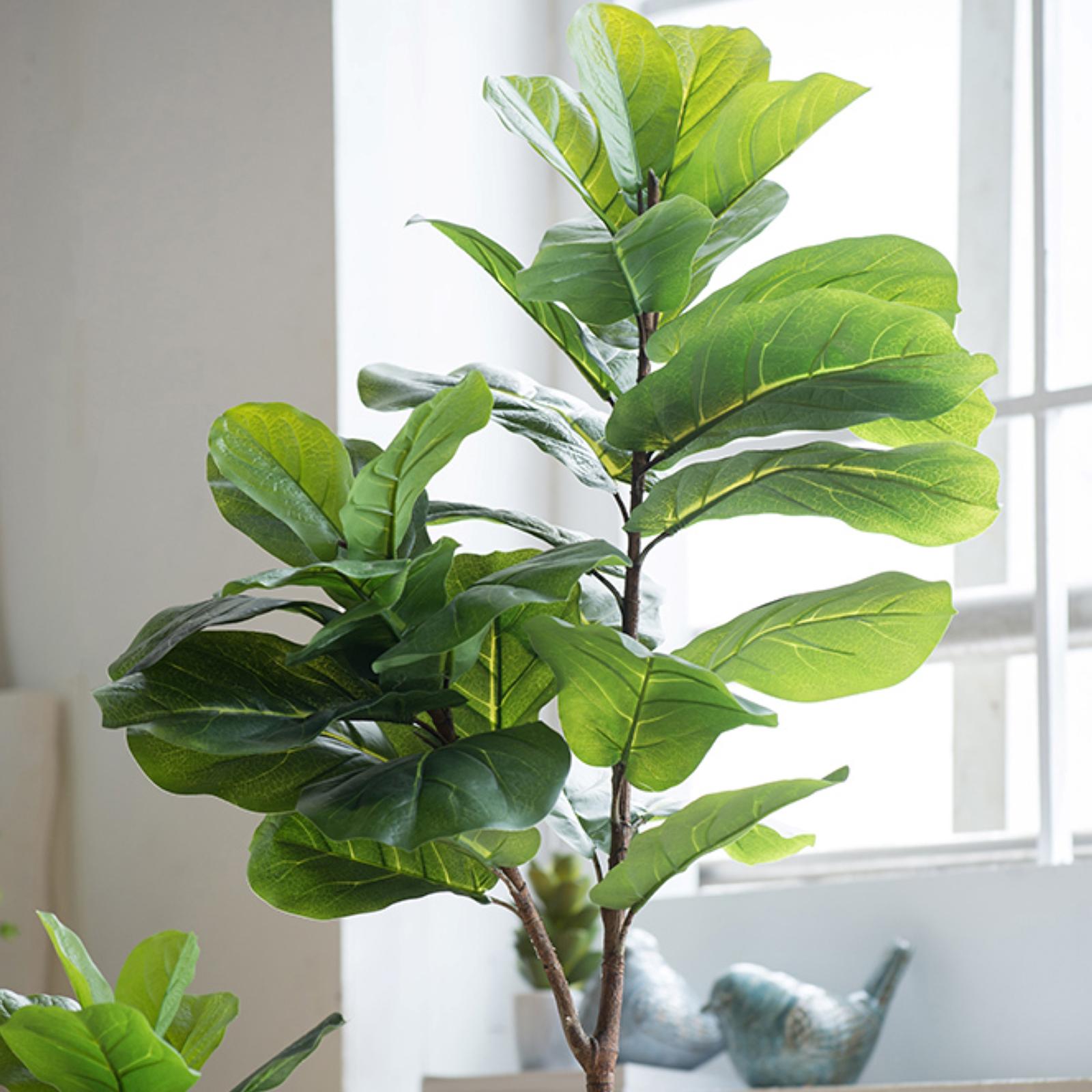 8467-fiddle-leaf-fig-tree-1.jpg