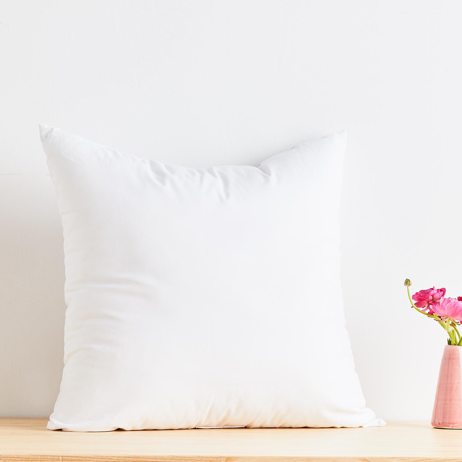 Polyester Filled Euro Pillow Insert, Set of 2