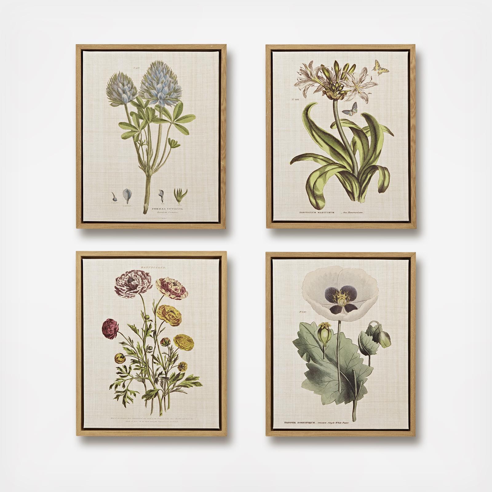 8779-herbal-botany-framed-canvas-set-of-4-1.jpg