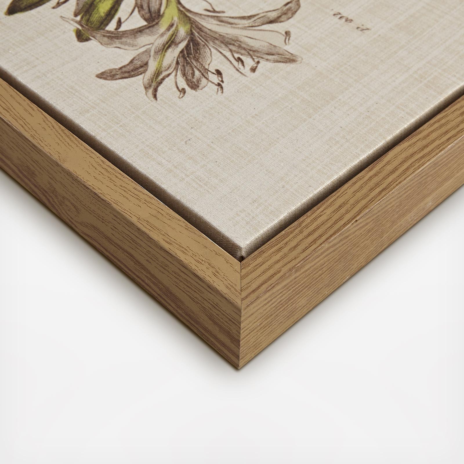 8779-herbal-botany-framed-canvas-set-of-4-1.jpg