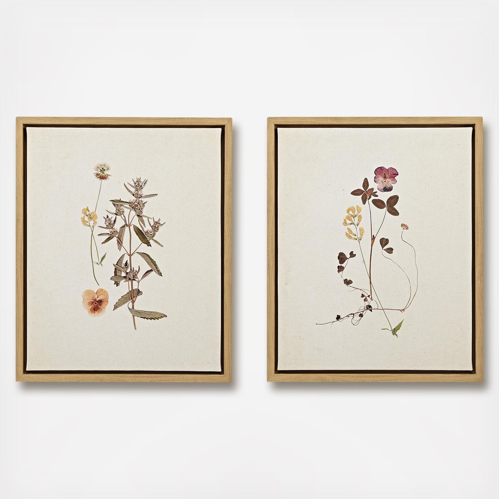 2-Piece French Herbarium Framed Canvas Set