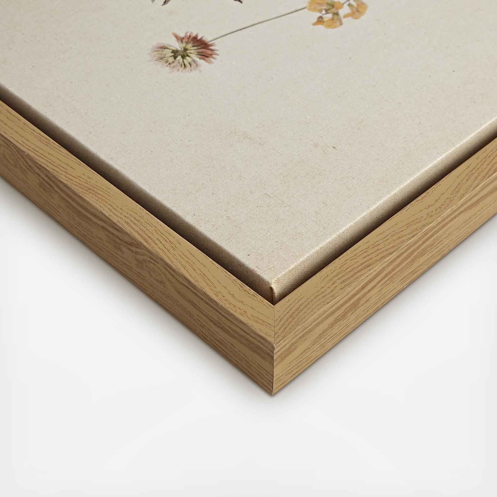 8781-2-piece-french-herbarium-framed-canvas-set-1.jpg