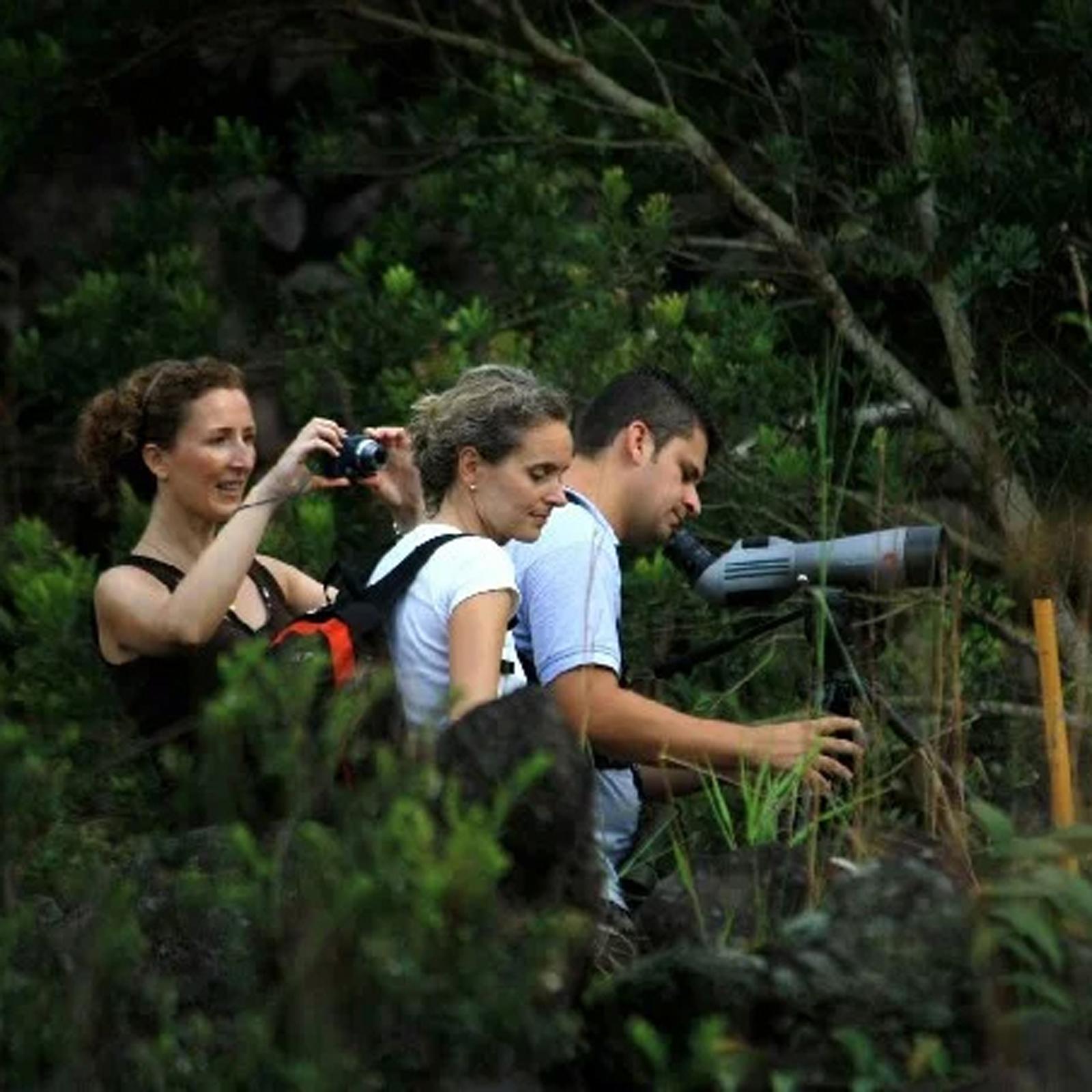 2-in-1 Arenal Volcano Hike & Hot Springs Tour for 2 - La Fortuna, Costa Rica