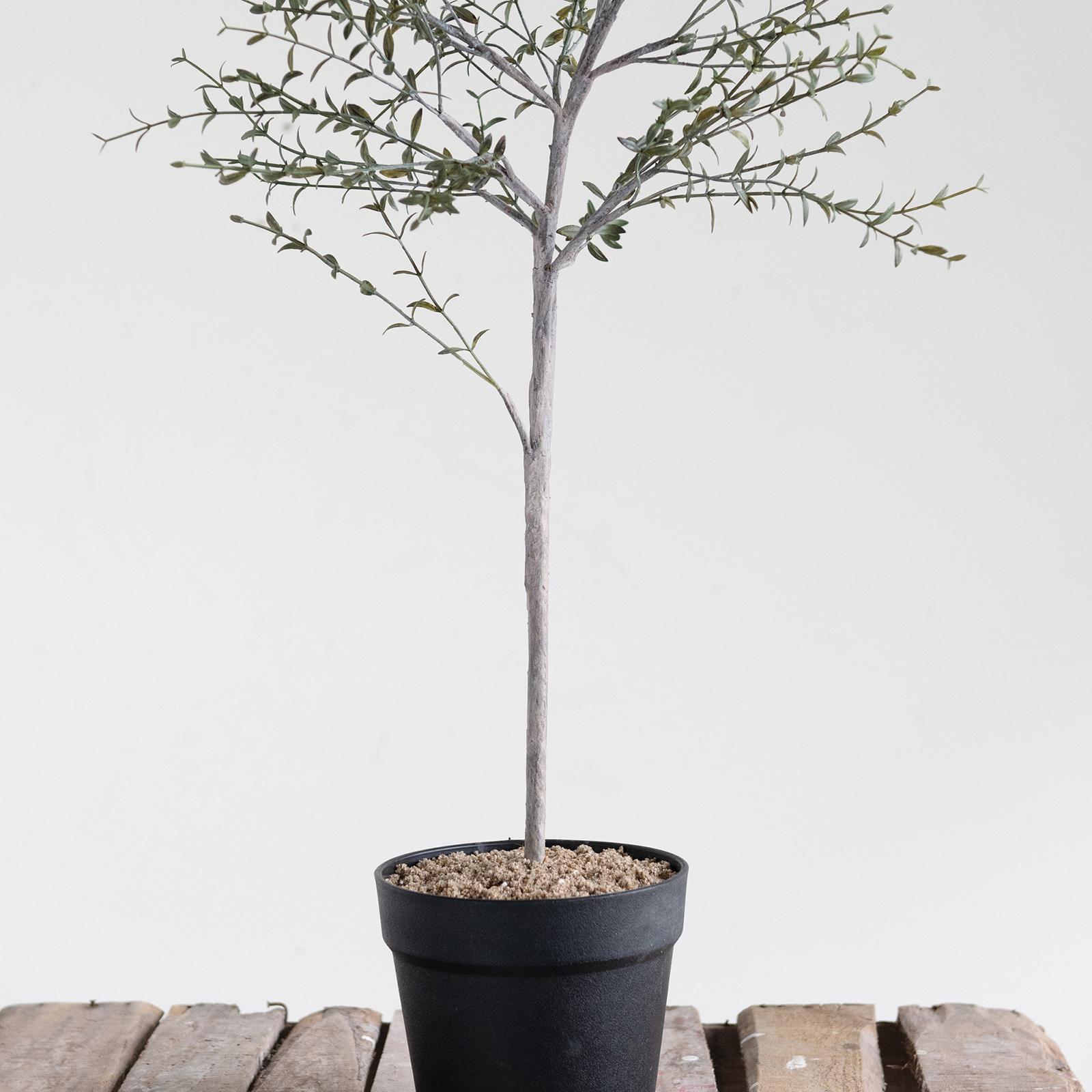 Faux Thyme Topiary in Pot