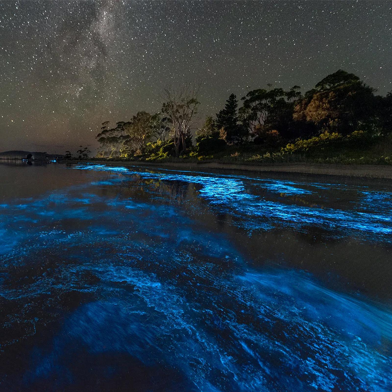 2-Hour Bioluminescence Tour for 2 - Grand Cayman