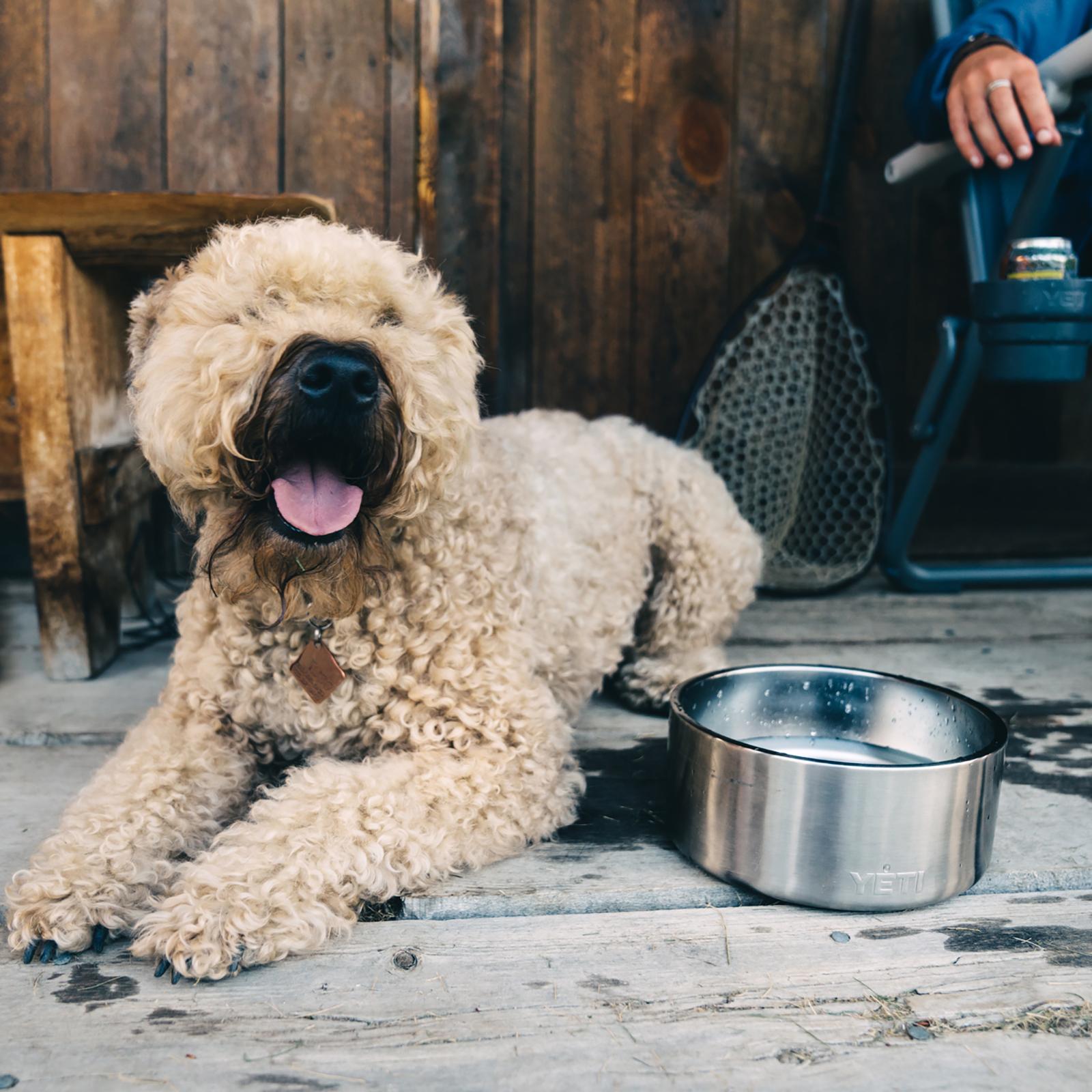 9664-boomer-4-dog-bowl-1.jpg