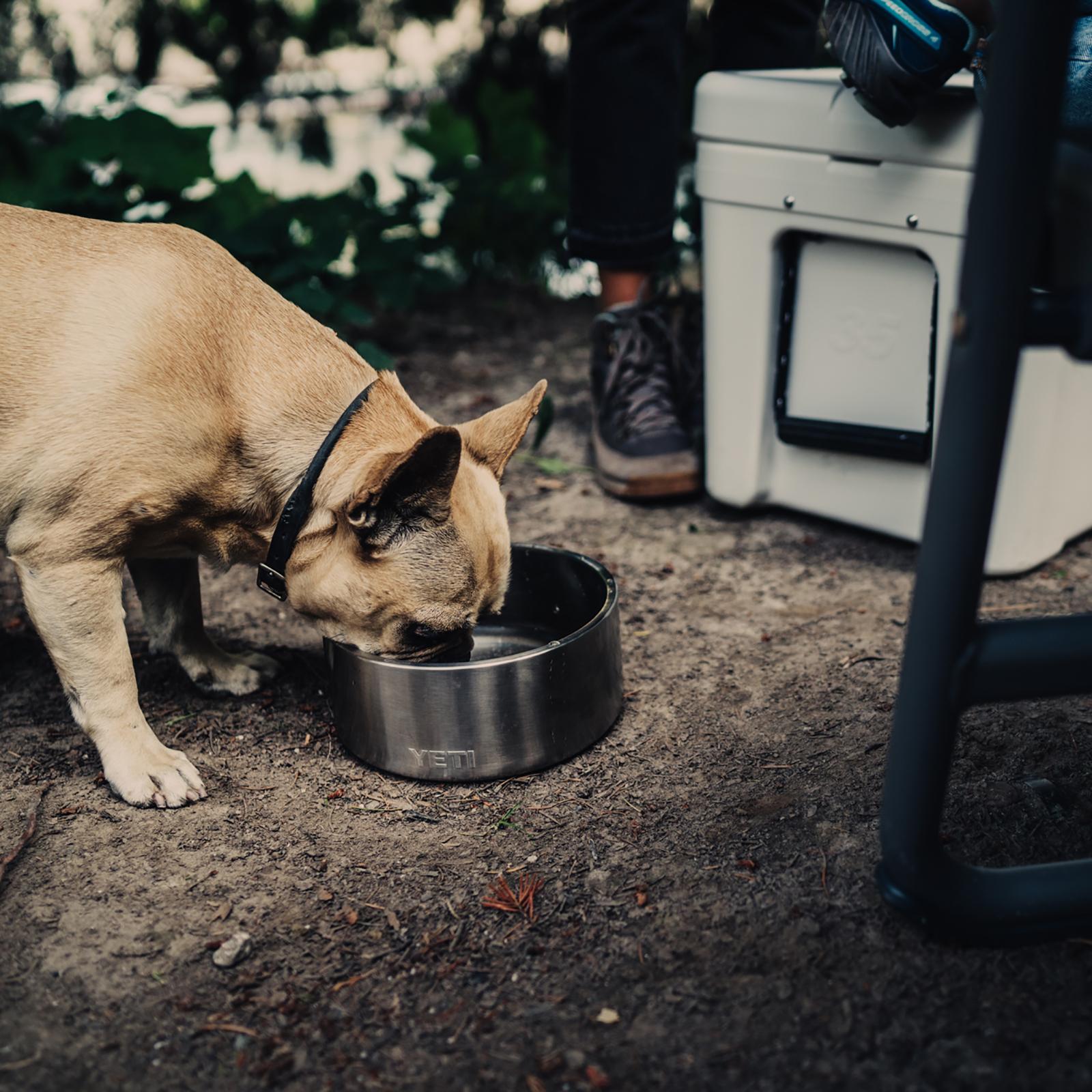9664-boomer-4-dog-bowl-1.jpg